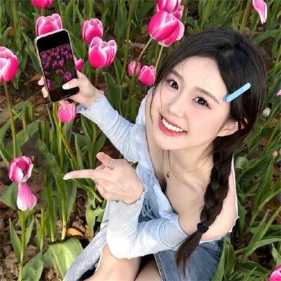 破产姐妹第六季